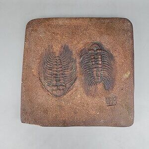 Replica Trilobite Basseiarges mellishae On Stone 6x6"